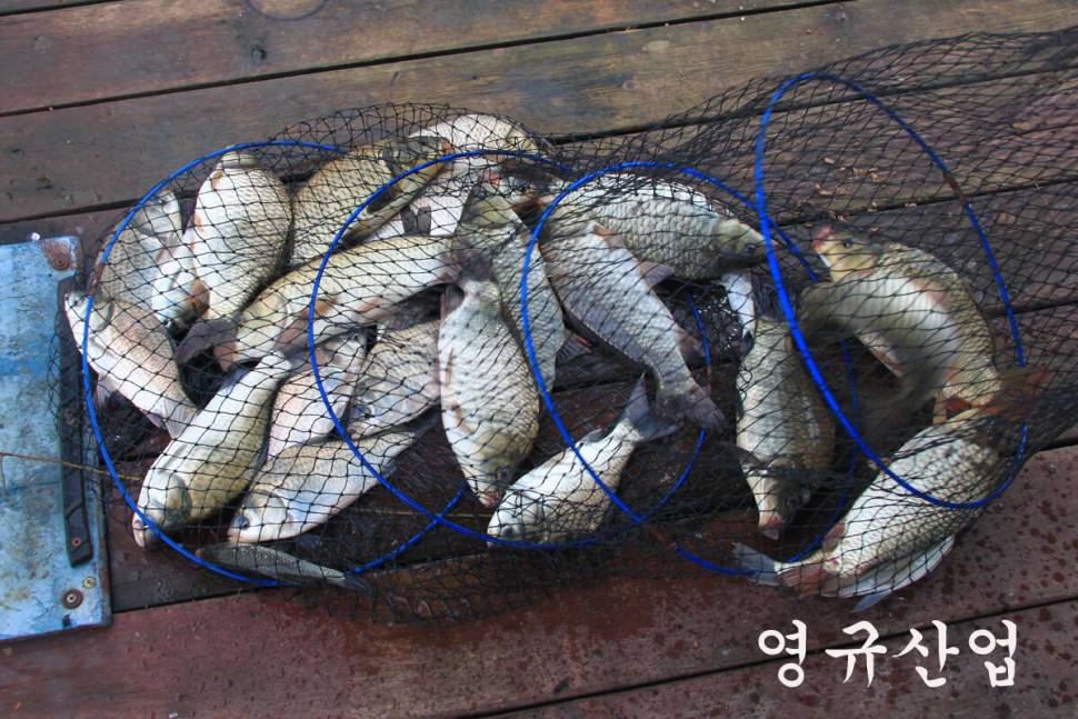 비가와도 대박 (유료터정보 - 유료터조행기)