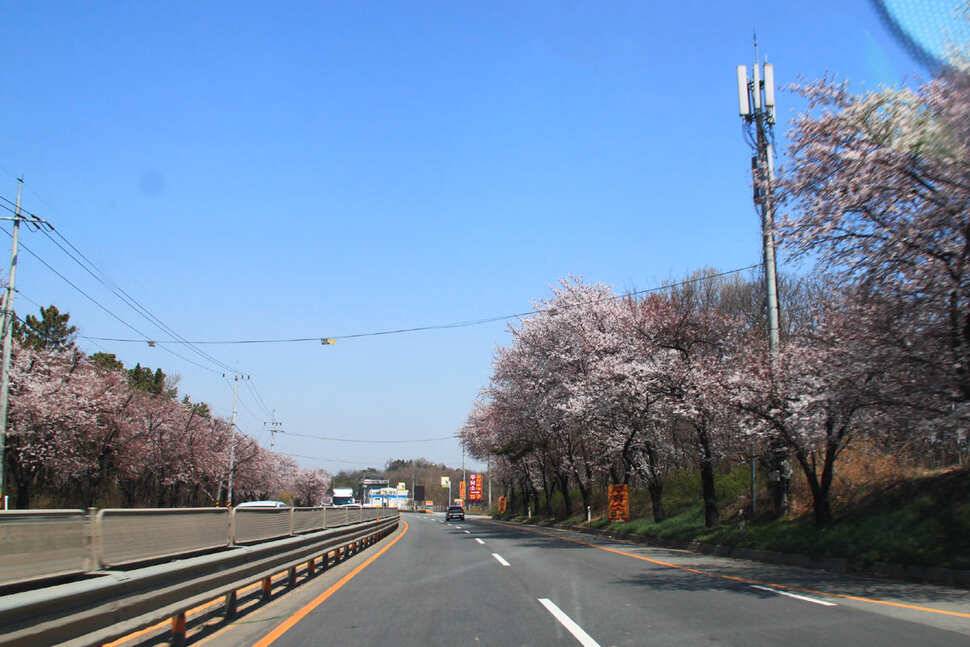 B1 잔교 냉정낚시터 (유료터정보 - 유료터조행기)