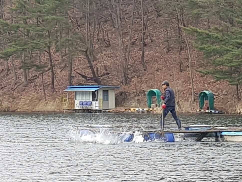 오산나그네의 천평낚시터 조행기 (유료터정보 - 유료터조행기)