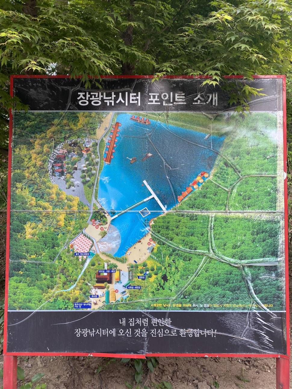 안성 장광낚시터 후기 (유료터정보 - 유료터조행기)