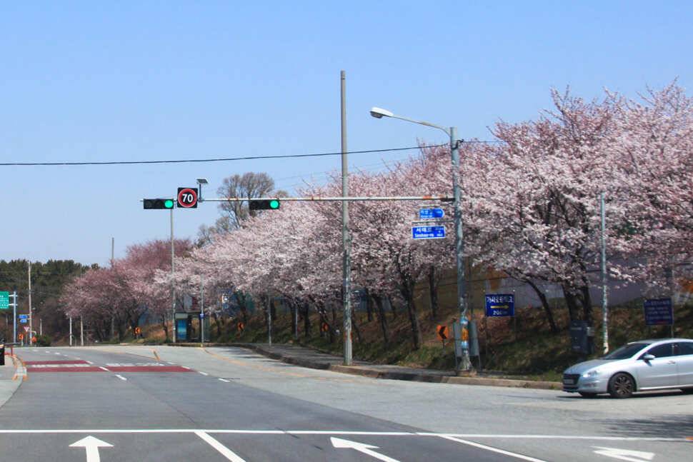 B1 잔교 냉정낚시터 (유료터정보 - 유료터조행기)