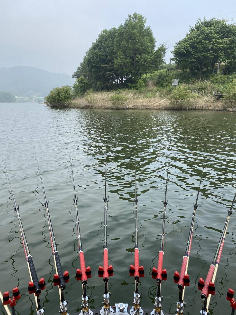잔잔한손맛 묵직한손맛 그리고 화끈한손맛 안성 용설지 (유료터정보 - 유료터조행기)