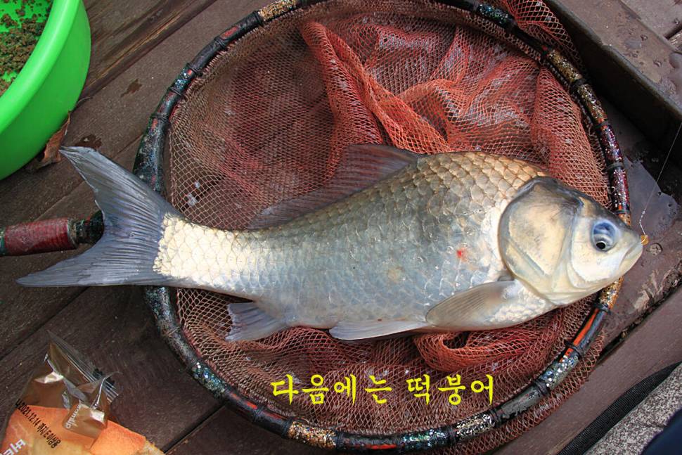 우연 (유료터정보 - 유료터조행기)