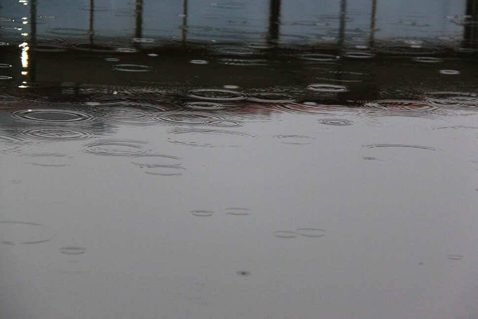 雨曜日 냉정낚시터 (유료터정보 - 유료터조행기)