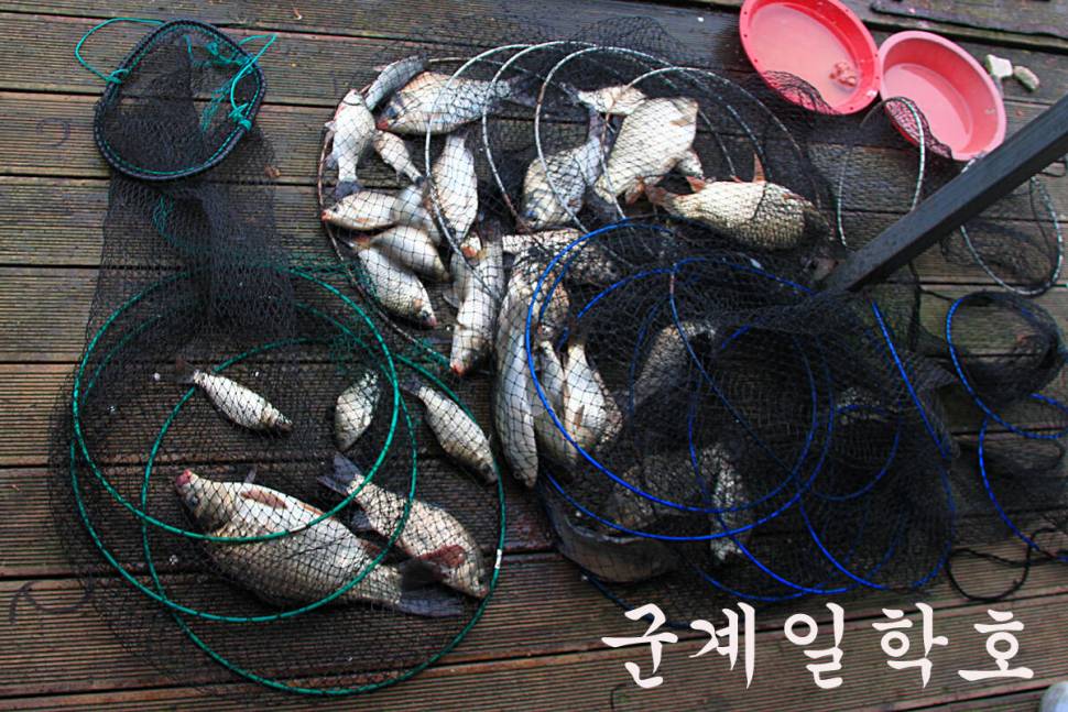 조황 베리 굿 (유료터정보 - 유료터조행기)