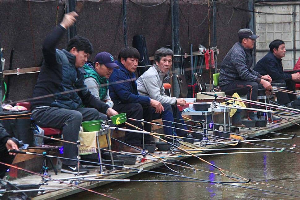 겨울철 낚시터를 찾아서 4 원동낚시터오산 (유료터정보 - 유료터조행기)