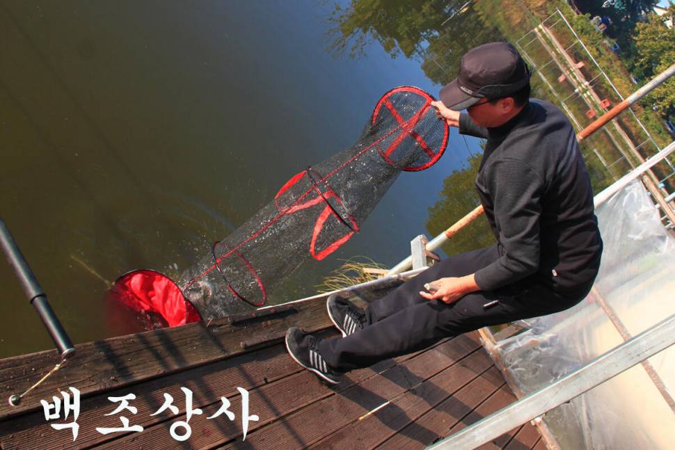 아침 안개 만정낚시터 (유료터정보 - 유료터조행기)