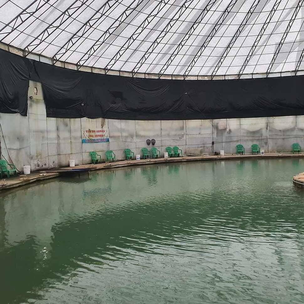 15만에 아버지와 출조여주 하우스 낚시터 (유료터정보 - 유료터조행기)