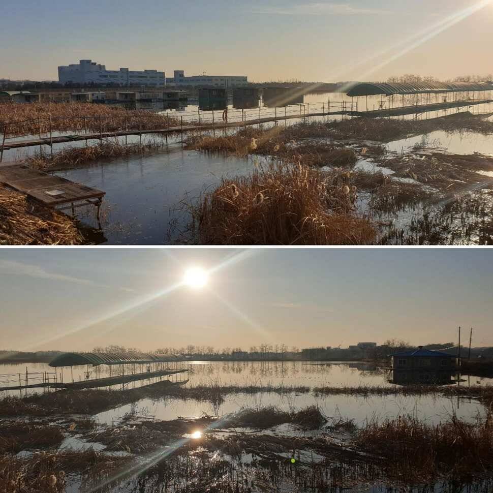 역시 낚시는 평일 낚시지 (유료터정보 - 유료터조행기)