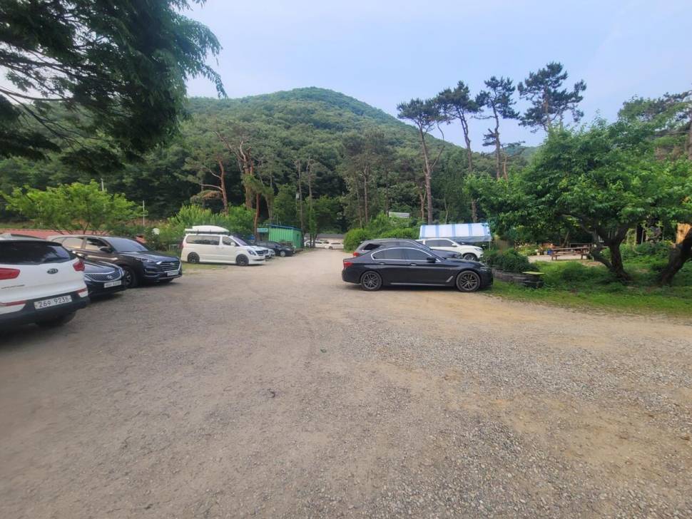 끝내주는 경치 끝내주는 마리수 둘다 만족하는 낚시터가 있다 안성 성주리낚시터 (유료터정보 - 유료터조행기)