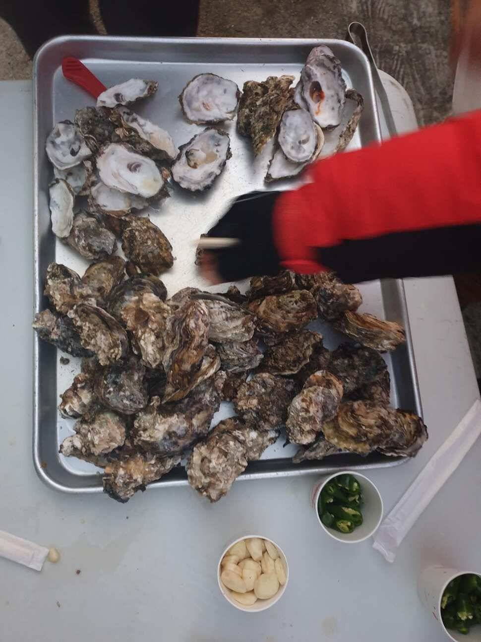 처음 가본 하우스낚시터오산낚시터 (유료터정보 - 유료터조행기)