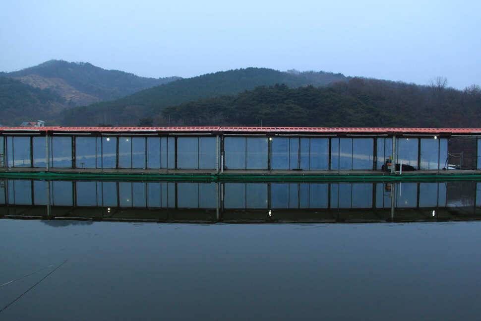 雨曜日 냉정낚시터 (유료터정보 - 유료터조행기)
