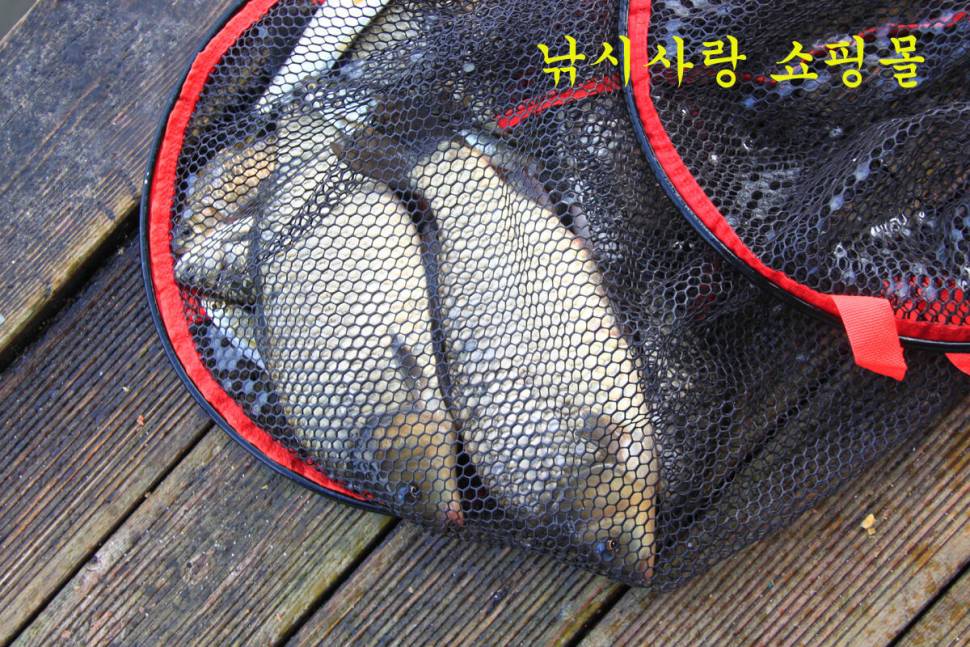 9월의 선물 만정낚시터 (유료터정보 - 유료터조행기)