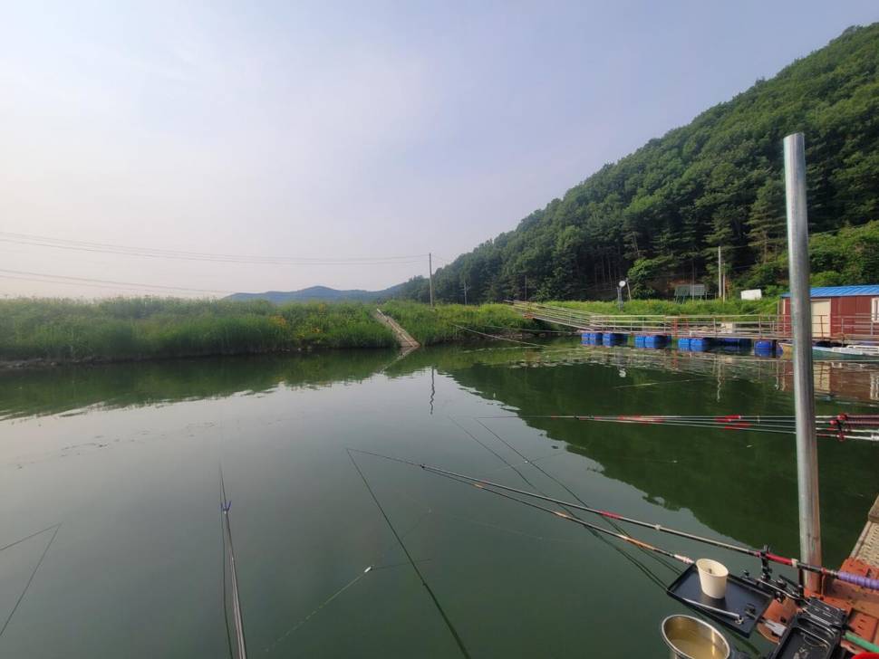 끝내주는 경치 끝내주는 마리수 둘다 만족하는 낚시터가 있다 안성 성주리낚시터 (유료터정보 - 유료터조행기)