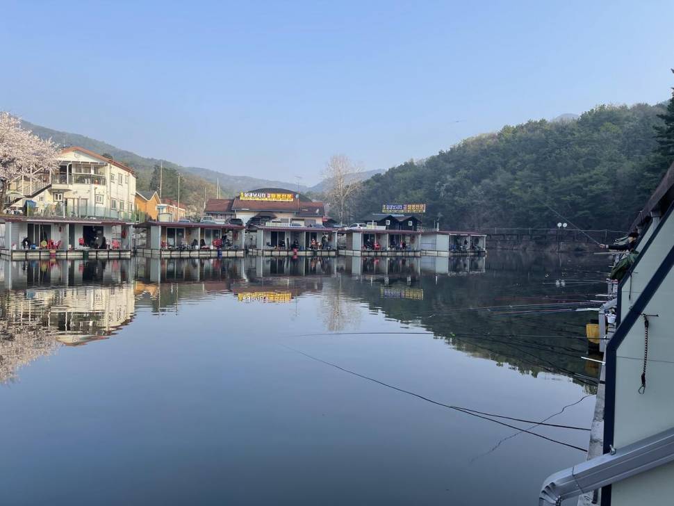 꽃 피운 동교낚시터 (유료터정보 - 유료터조행기)