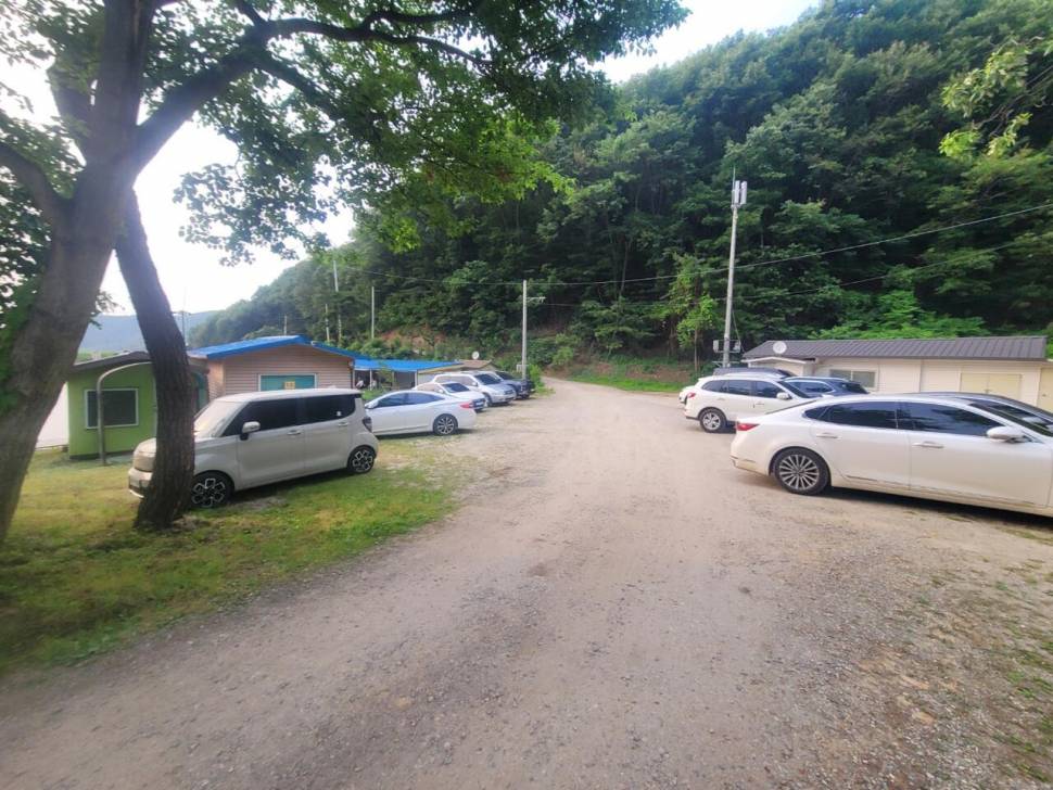 끝내주는 경치 끝내주는 마리수 둘다 만족하는 낚시터가 있다 안성 성주리낚시터 (유료터정보 - 유료터조행기)