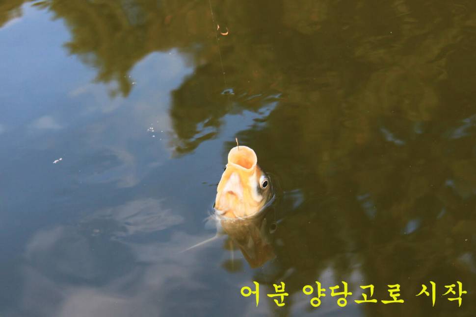 사짜를 잡은 이유 (유료터정보 - 유료터조행기)