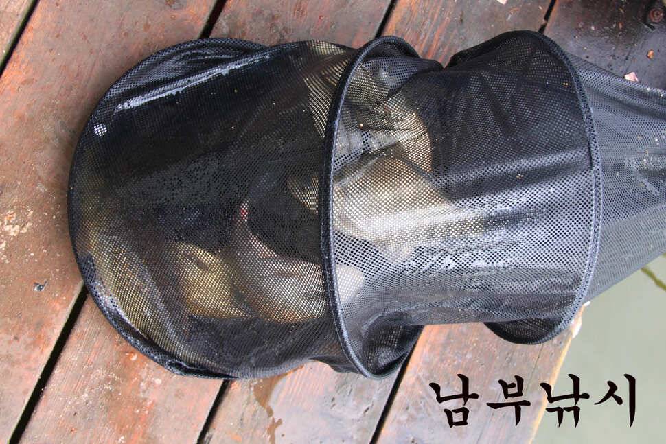 6월 14일 만정지 (유료터정보 - 유료터조행기)