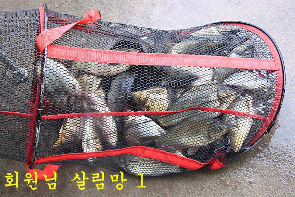 붕어들의 역습 만정낚시터 (유료터정보 - 유료터조행기)