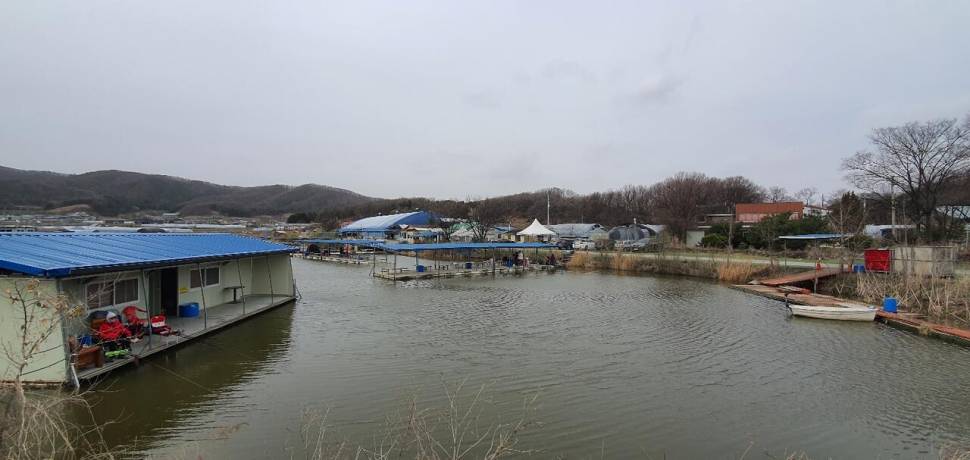 블랙베어의 유료터 조행기 양주 연곡 낚시터 (유료터정보 - 유료터조행기)