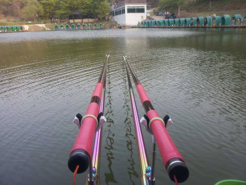 주말 고령벌지와 가곡지를 다녀와서 (유료터정보 - 유료터조행기)