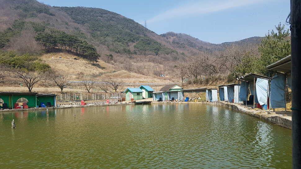 올해 첫번째 유료터 두메낚시터에서 (유료터정보 - 유료터조행기)