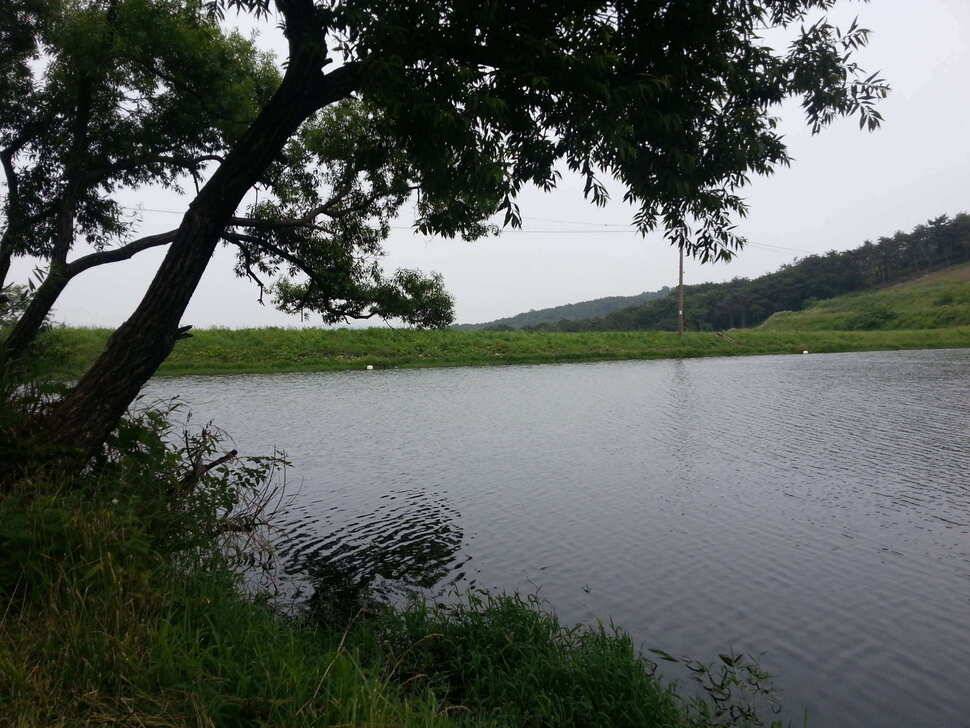 충남 안국지 첫 조행기♥ (유료터정보 - 유료터조행기)