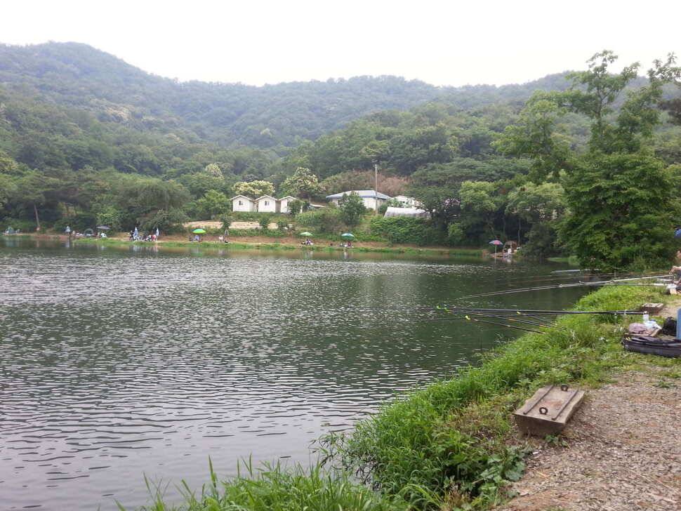 충남 안국지 첫 조행기♥ (유료터정보 - 유료터조행기)