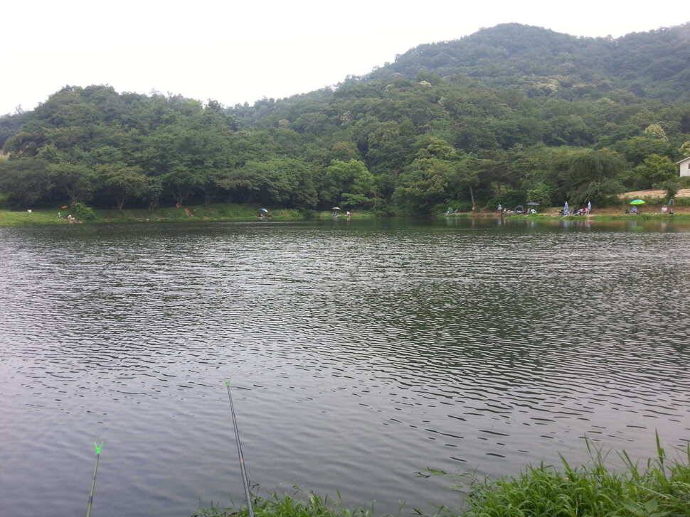 충남 안국지 첫 조행기♥ (유료터정보 - 유료터조행기)