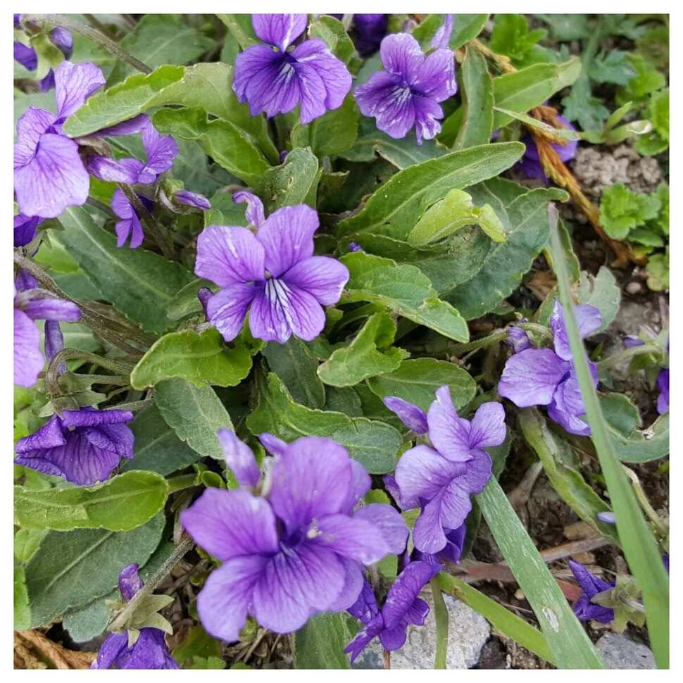 411일 경주 동산낚시터 (유료터정보 - 유료터조행기)