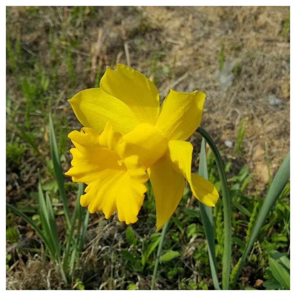411일 경주 동산낚시터 (유료터정보 - 유료터조행기)