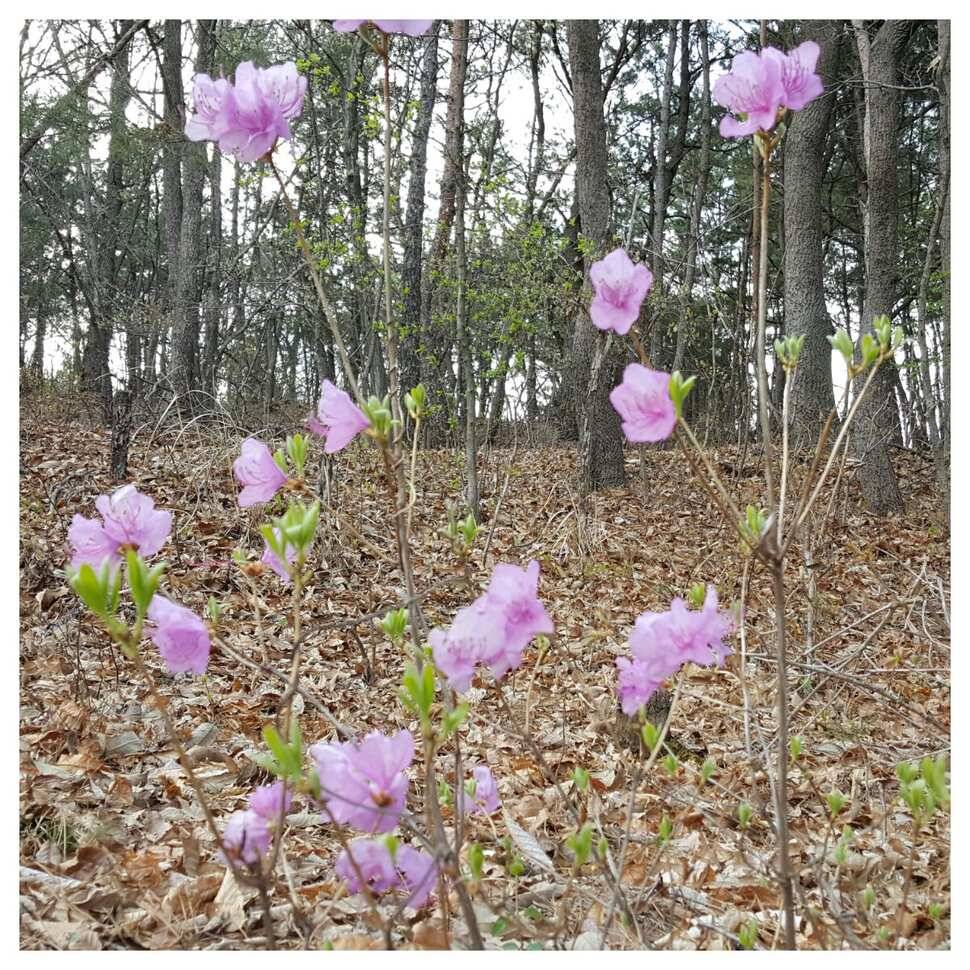 411일 경주 동산낚시터 (유료터정보 - 유료터조행기)