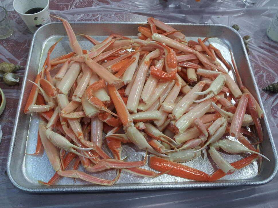 낚시는 즐거워 ♬ (유료터정보 - 유료터조행기)