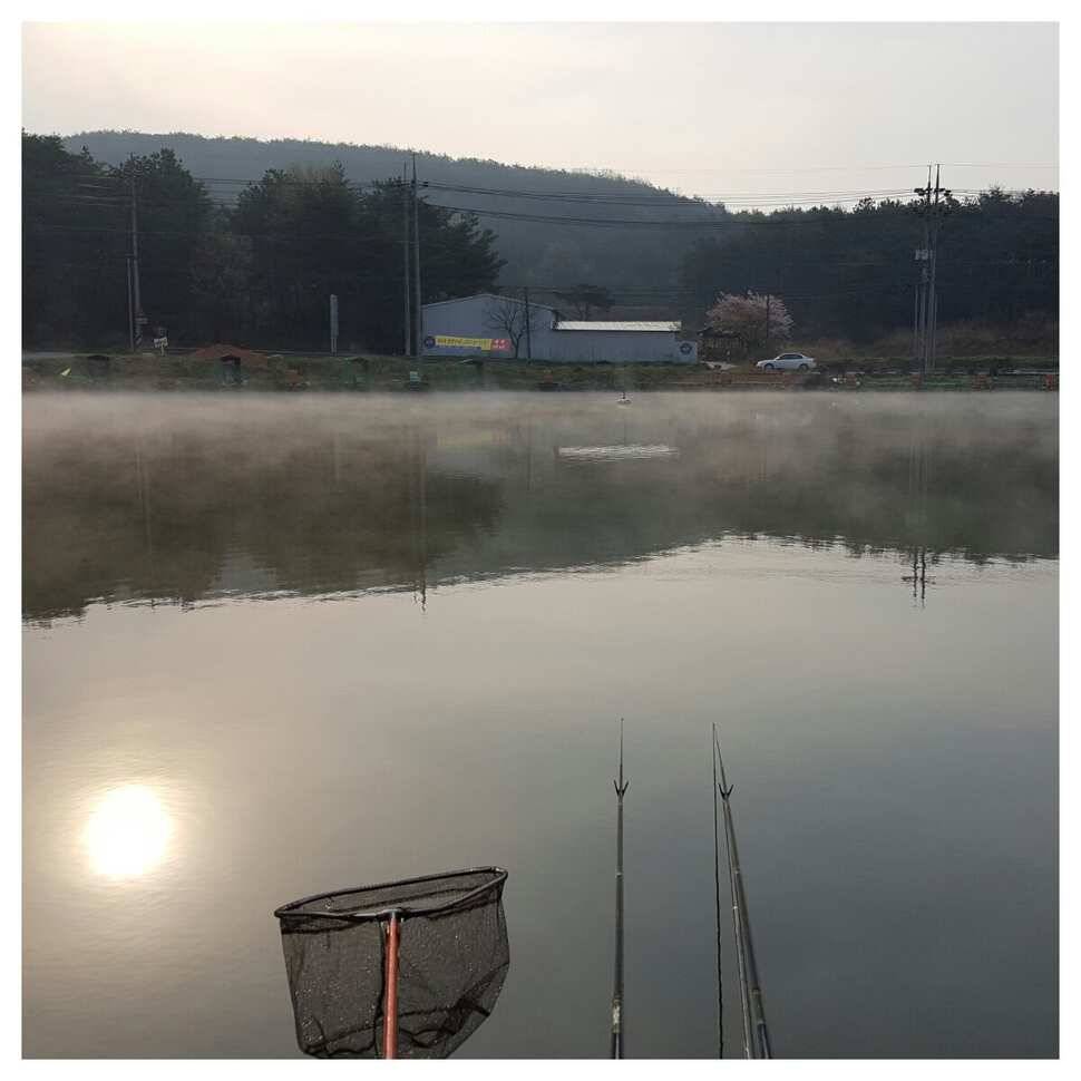 411일 경주 동산낚시터 (유료터정보 - 유료터조행기)