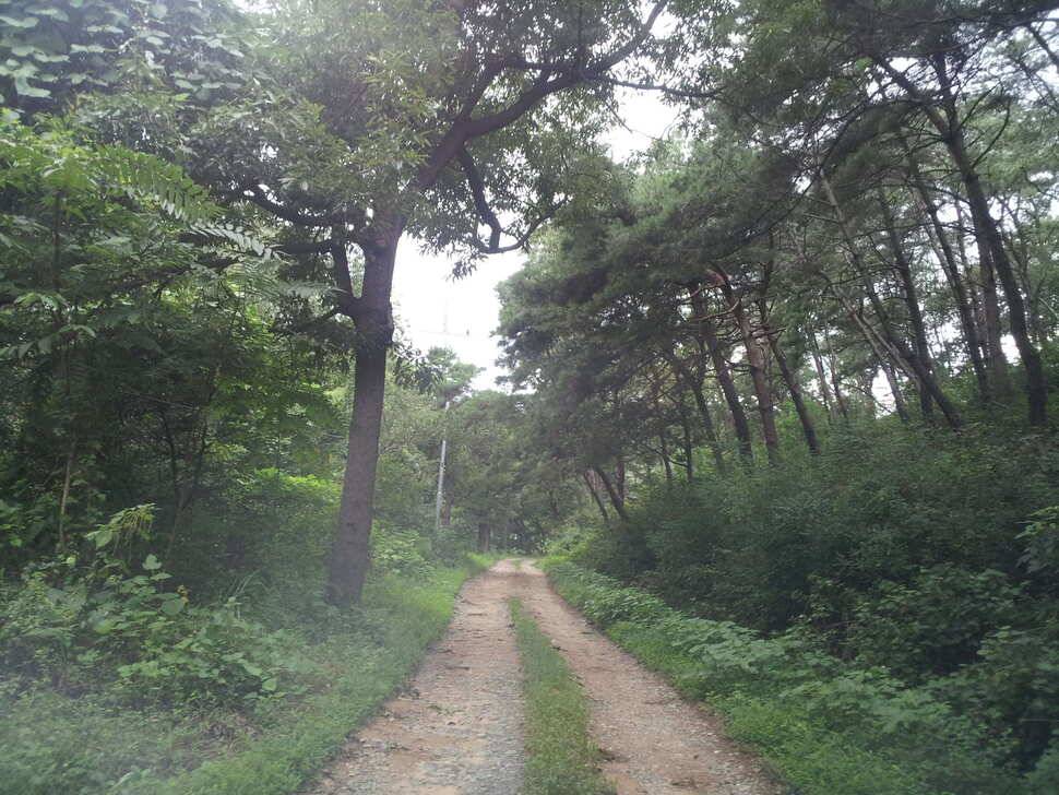 찌올림이 그리워다시찾은 개나리 (유료터정보 - 유료터조행기)