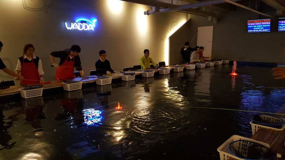 낚시까페 다녀 왔네요 (유료터정보 - 유료터조행기)