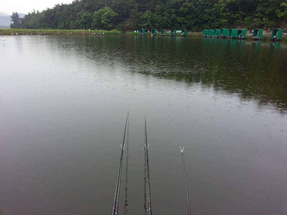 경주 동산낚시터 머피의 법칙 (유료터정보 - 유료터조행기)