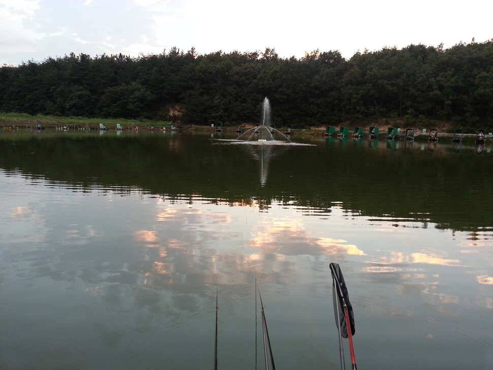 동산낚시터 붕순이들도 휴가중 (유료터정보 - 유료터조행기)