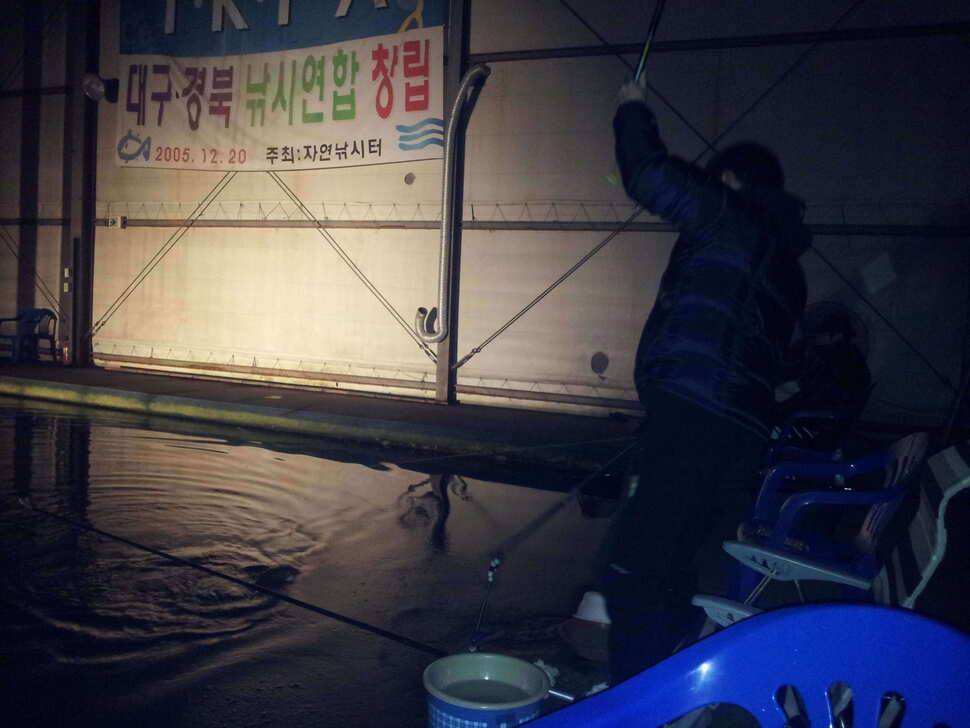 올해의 마지막 낚시를왜관 자연하우스에서 (유료터정보 - 유료터조행기)