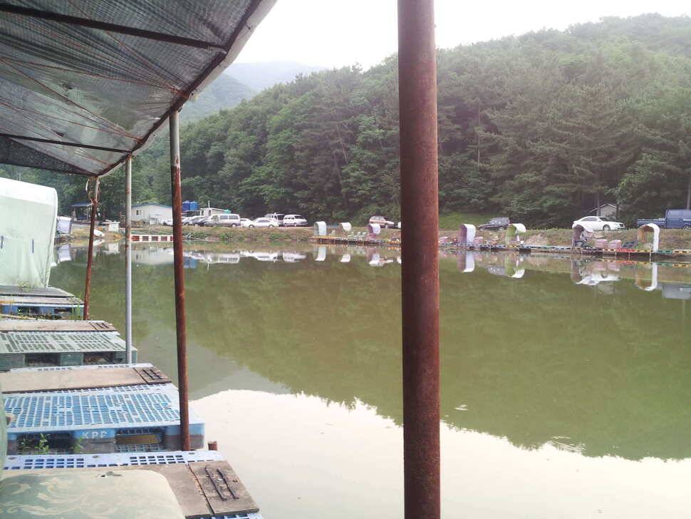 역전의 명수경주 낚시터 (유료터정보 - 유료터조행기)