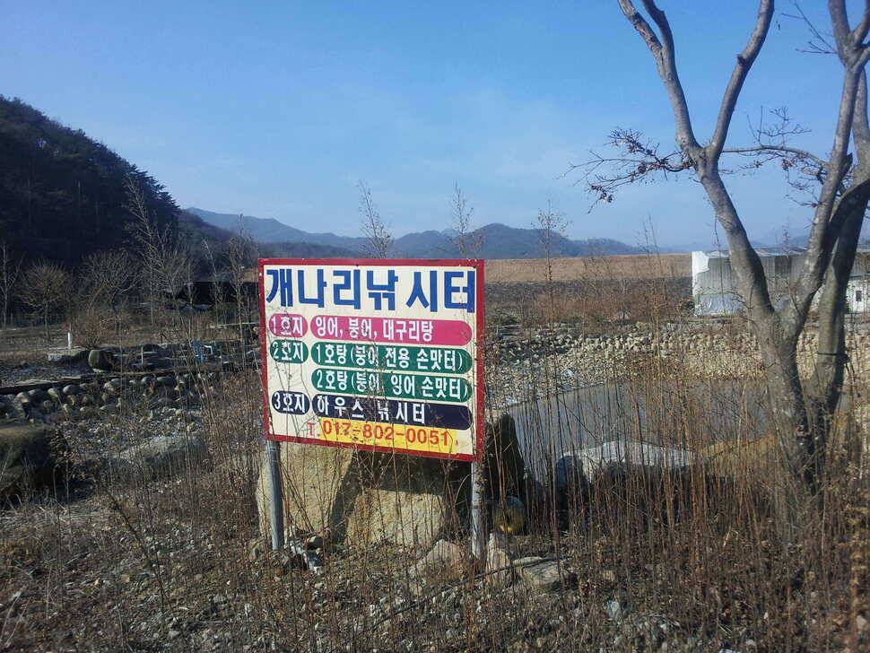 고령 개나리하우스를 찾아서 (유료터정보 - 유료터조행기)