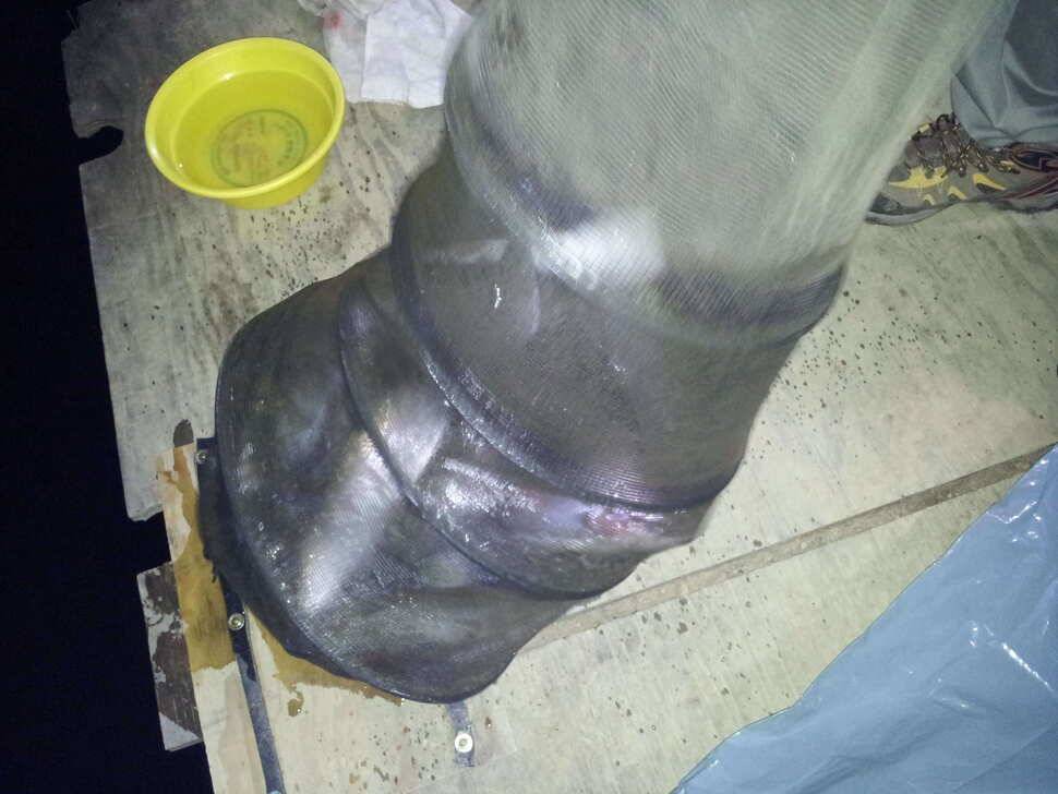 구봉지 붕어 넣은첫날 (유료터정보 - 유료터조행기)
