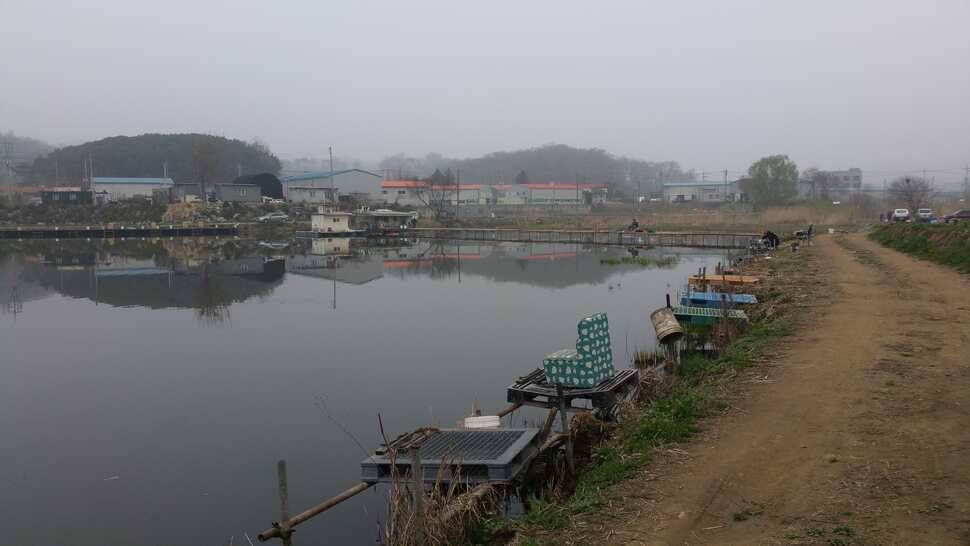 경기도 오산소재 서동낚시터 입니다 (유료터정보 - 유료터조행기)
