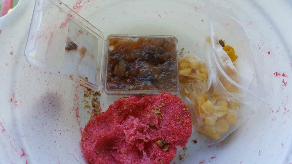 인동 사각낚시터에서 찐한 손맛 (유료터정보 - 유료터조행기)