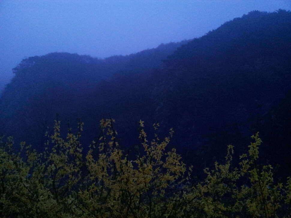 무태낚시터 낚시중입니다 (유료터정보 - 유료터조행기)