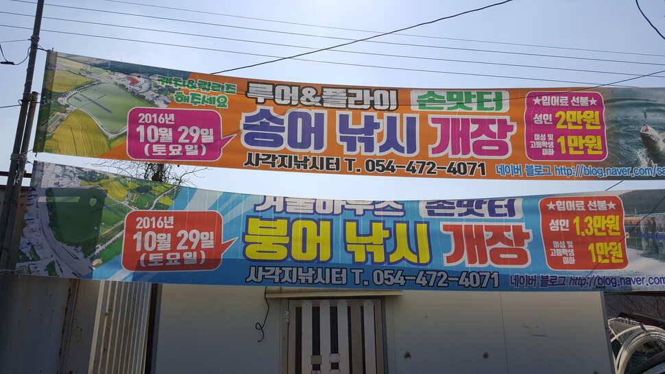 인동 사각낚시터에서 찐한 손맛 (유료터정보 - 유료터조행기)