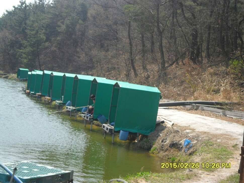 경주 동산낚시터엔 붕어가 없다 (유료터정보 - 유료터조행기)