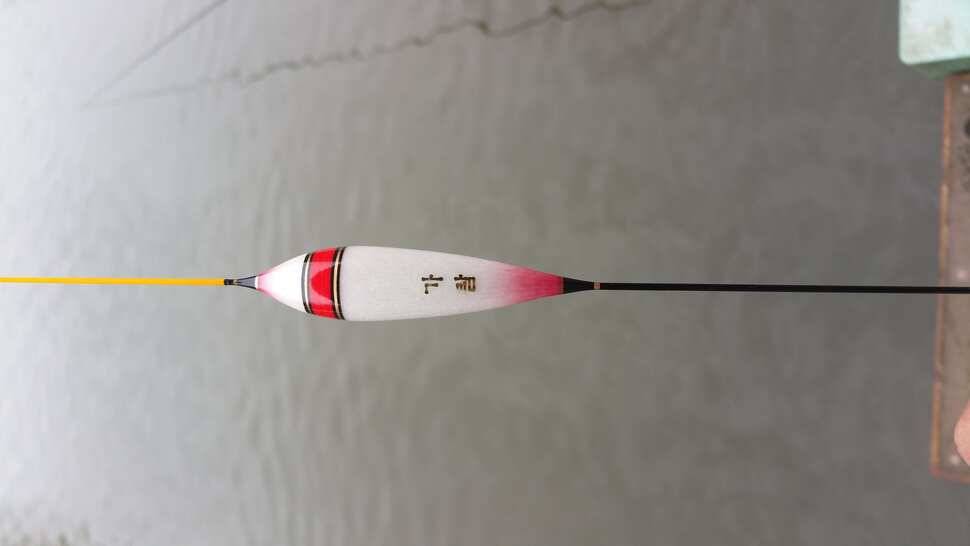 초당낚시터에서 지인분과 힐링 (유료터정보 - 유료터조행기)