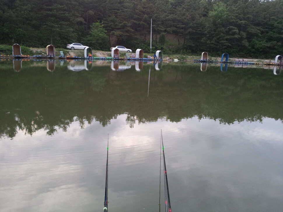 찌맛이 그리워 다시찾은 경주 낚시터 (유료터정보 - 유료터조행기)