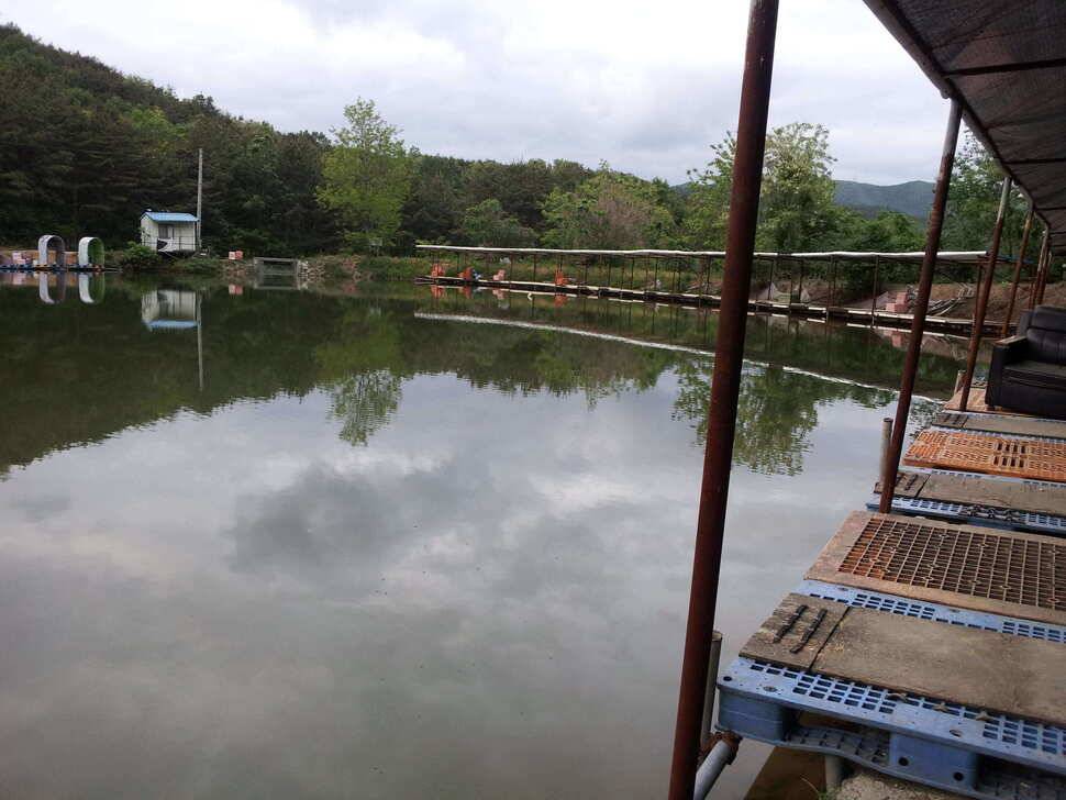찌맛이 그리워 다시찾은 경주 낚시터 (유료터정보 - 유료터조행기)
